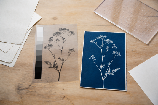 Digitaal negatief voor cyanotype maken: contrast, film en printinstellingen
