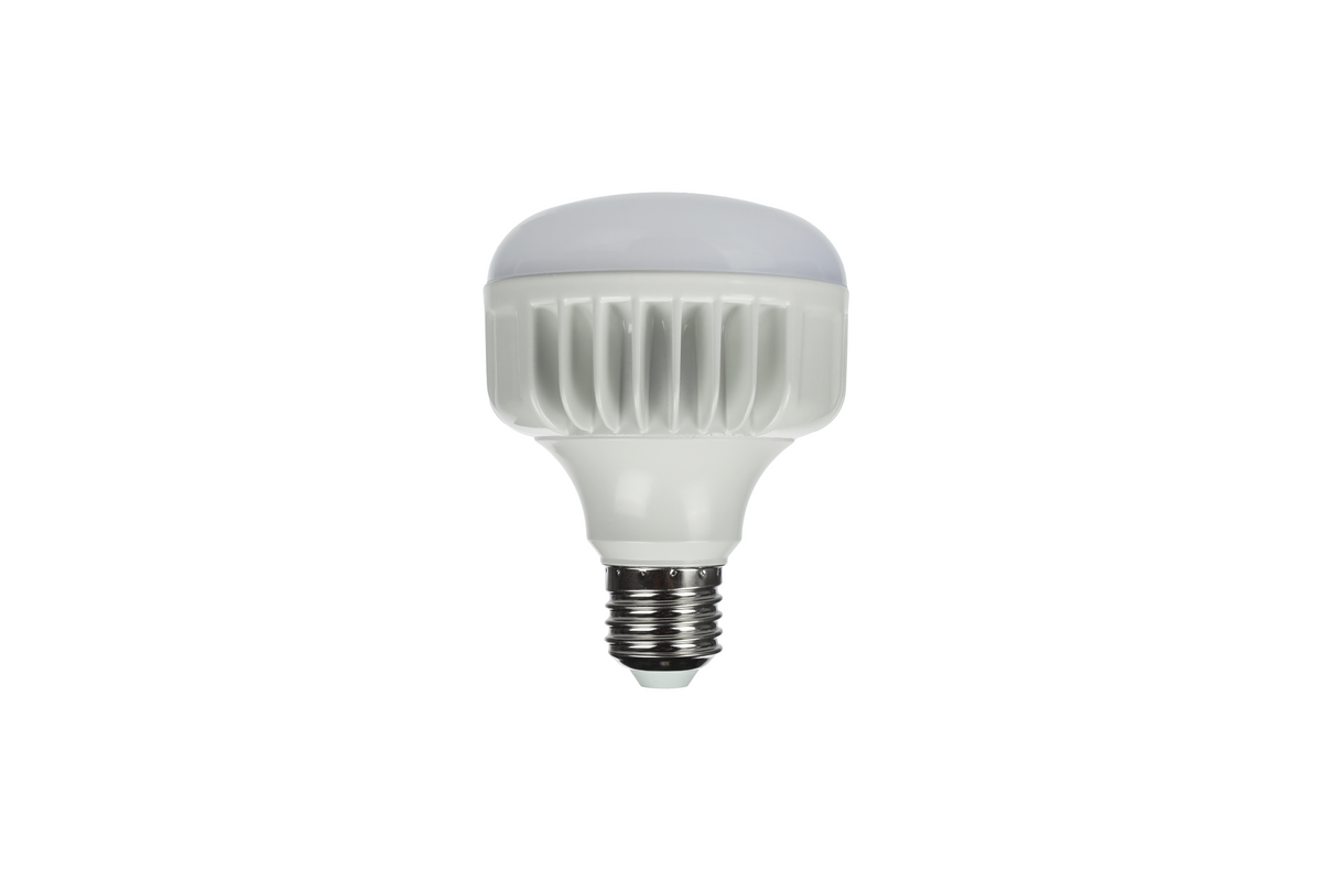 StudioKing LED Daglichtlamp 25W E27 FLED-25