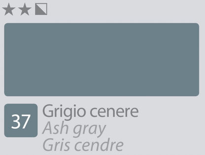 Divolo Accademia Olieverf 20 ml - Asgrijs