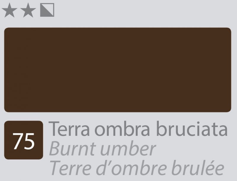 Divolo Accademia Olieverf 20 ml - Burnt Umber
