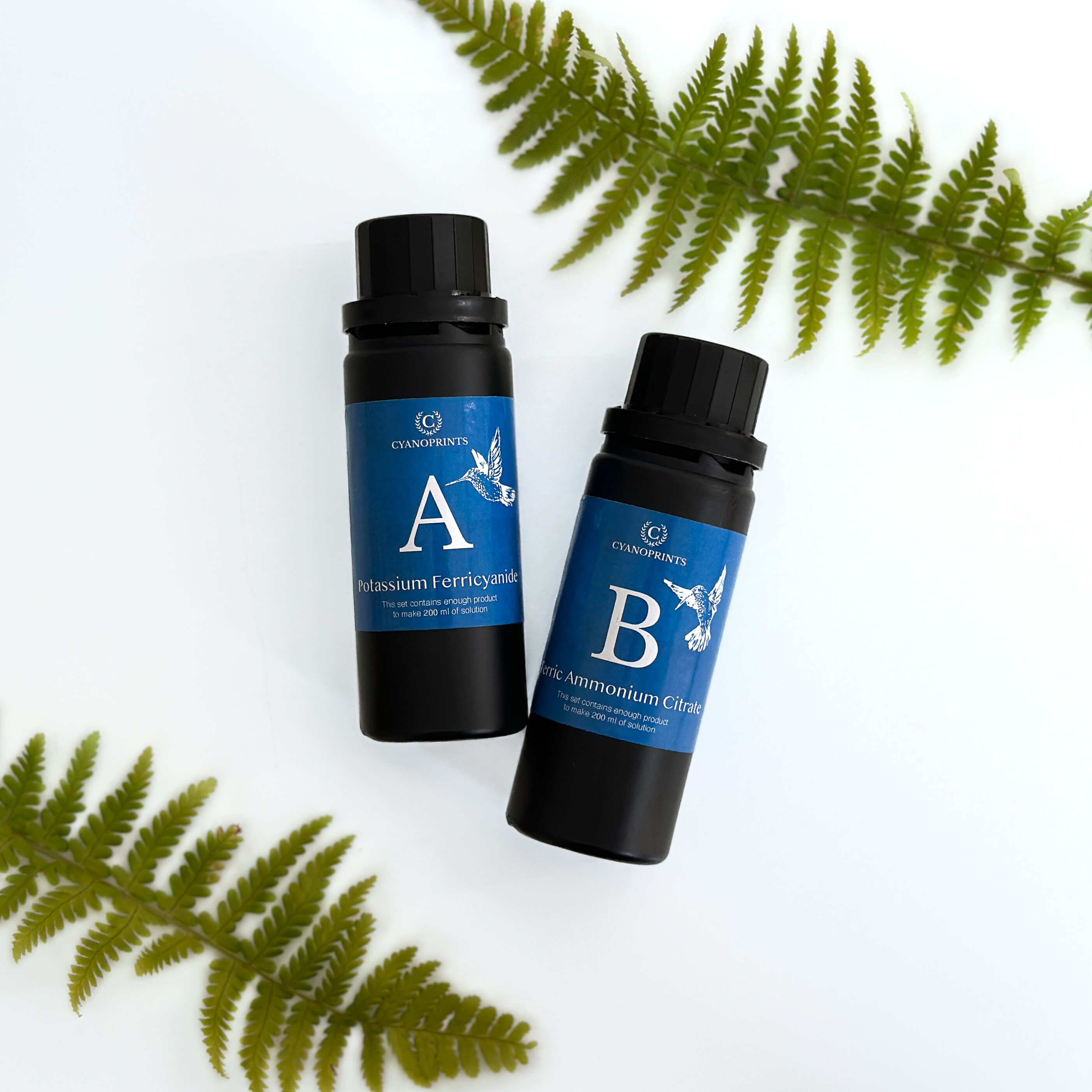 Cyanotype Refill Kit – navulset met Ferric Ammonium Citrate en Potassium Ferricyanide