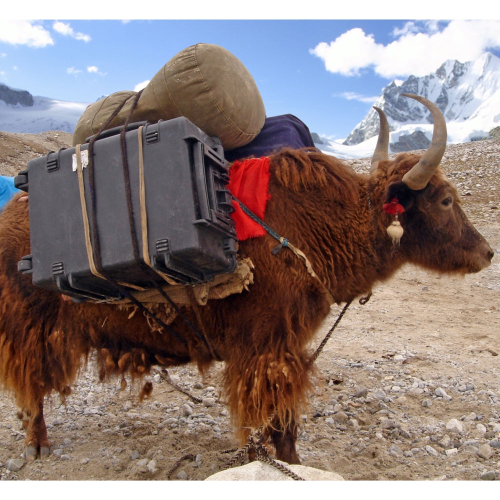 Explorer Cases 5833 Koffer Zwart — 5