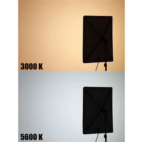 Falcon Eyes Softbox + Honingraat RX-18SBHC III voor LED RX-18TDX III — 6