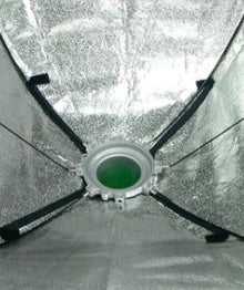 Falcon Eyes Softbox 80x120 cm + Honingraat SBQ-80120HC — 2