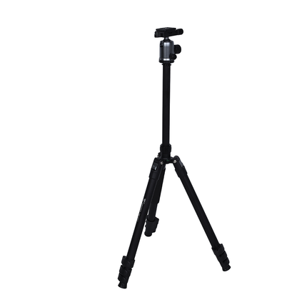Nest Statief WF-6627 + Balhoofd — 2