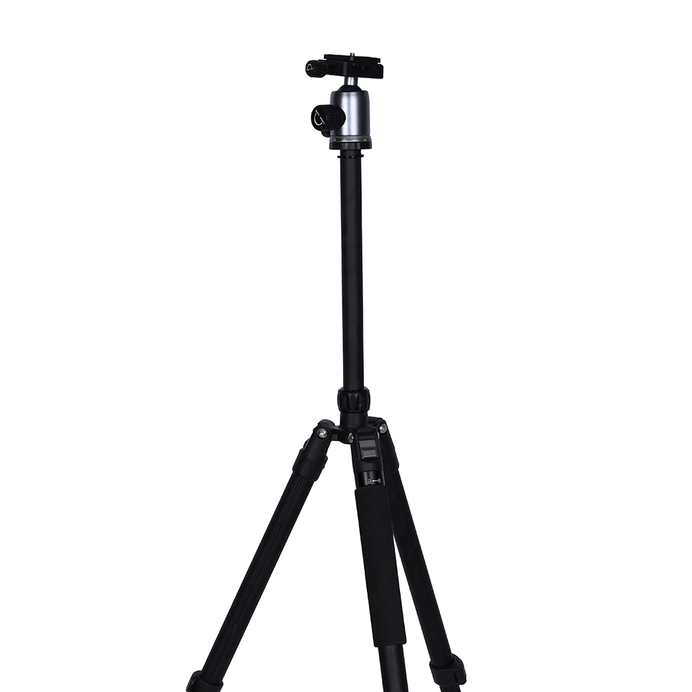 Nest Statief WF-6627 + Balhoofd — 3
