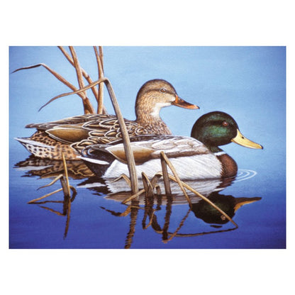 R&L Adult Large A3 Schilderen op Nummer - Blue Water Mallards