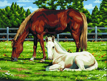 R&L Artist Canvas A3 Schilderen op Nummer - Horses in Field