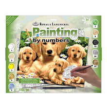 R&L Junior Large A3 Schilderen op Nummer - Golden Retriever & Puppies