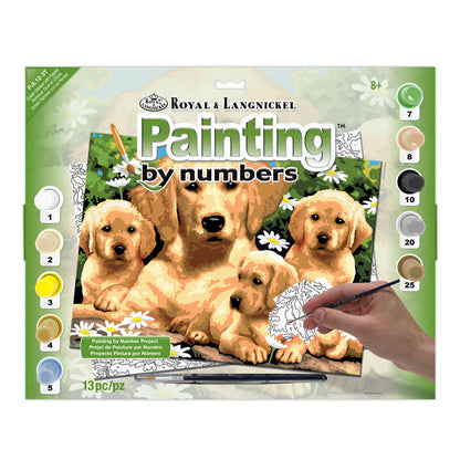 R&L Junior Large A3 Schilderen op Nummer - Golden Retriever & Puppies