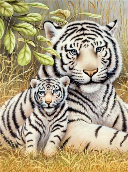 R&L Junior Small A4 Schilderen op Nummer - White Tiger Pair