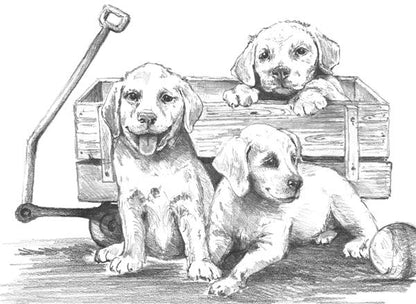 R&L Sketching Made Easy Large - Puppies & Wagon