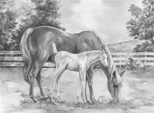 R&L Sketching Made Easy Large - Horse & Colt