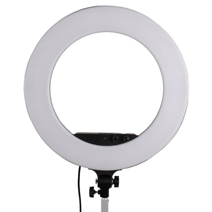 StudioKing LED Ringlamp Set LED-480ASK op 230V — 2