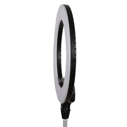 StudioKing LED Ringlamp Set LED-480ASK op 230V — 7