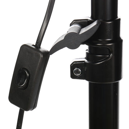 StudioKing Daglicht Set PK-SB608K 2x85W — 6