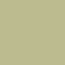 Superior Achtergrondpapier 13 Tropical Green 1,35 x 11m — 2