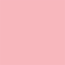 Superior Achtergrondpapier 17 Carnation Pink 1,35 x 11m — 2