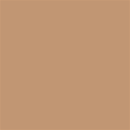 Superior Achtergrondpapier 25 Beige 1,35 x 11m — 2