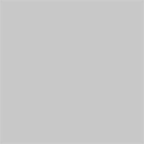 Superior Achtergrondpapier 42 Morning Mist 1,35 x 11m — 2