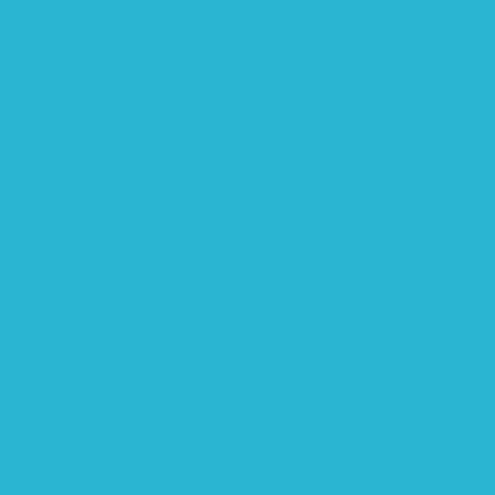 Superior Achtergrondpapier 60 Wedgewood 1,35 x 11m — 2