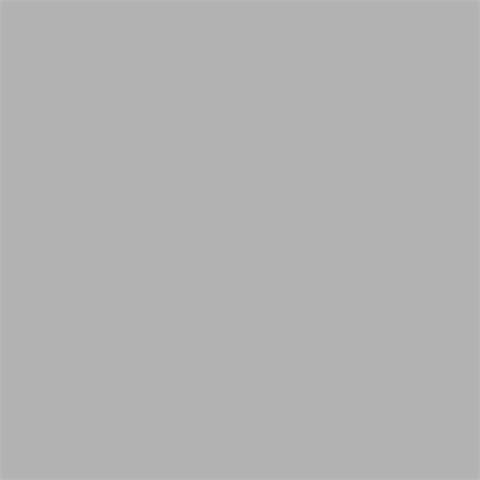 Superior Achtergrondpapier 72 Fossil Gray 1,35 x 11m — 2