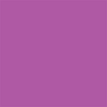 Superior Achtergrondpapier 76 Grape 1,35 x 11m — 2