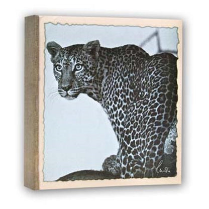 Zep WL57100 Album Slip-in 100 photos 13x19 cm - 12 albums
