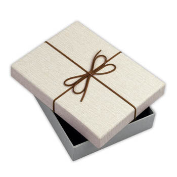 Zep Opbergdoos BX3514A Box Piacenza A 15,3x21,4x4 — 4